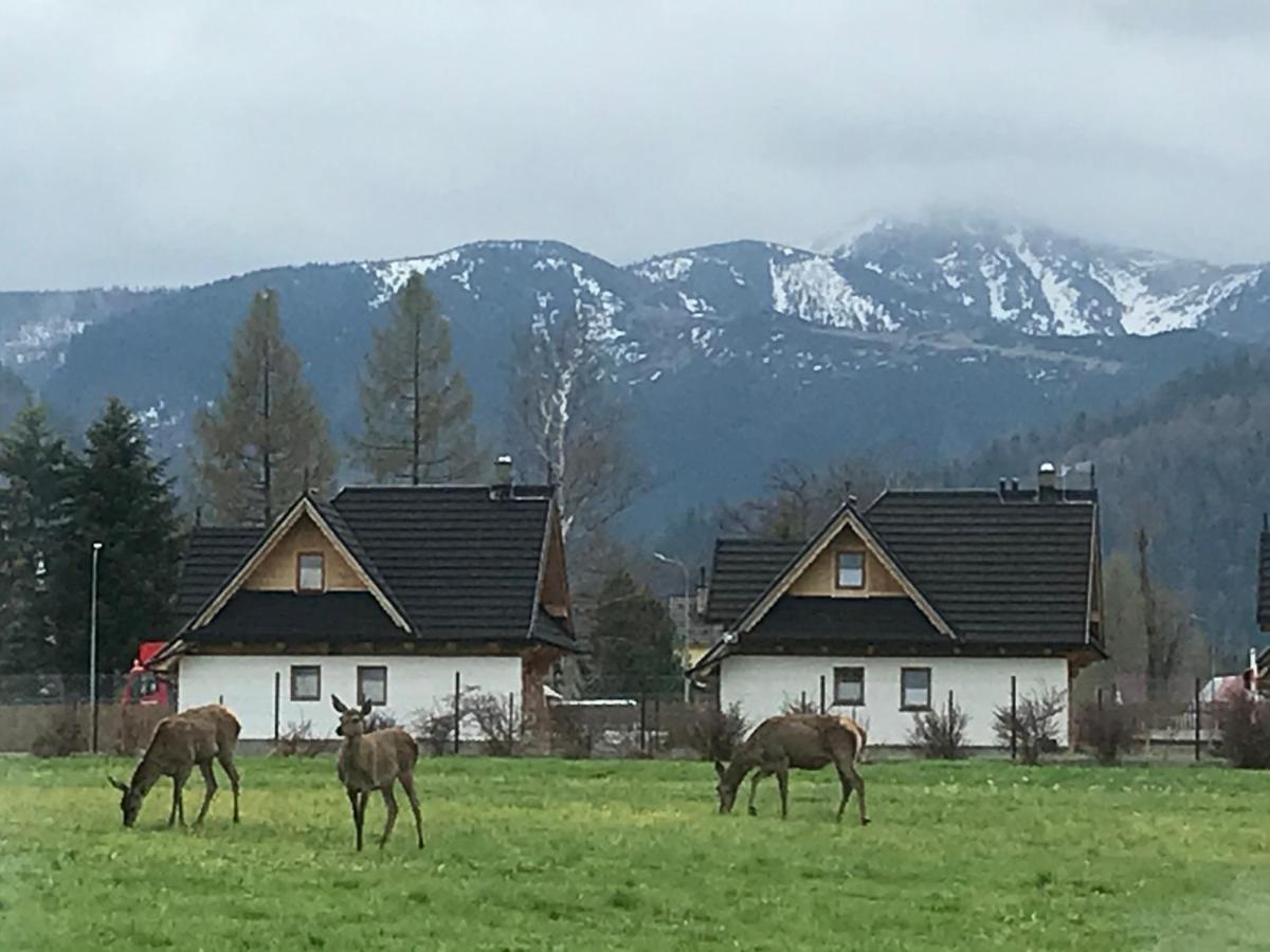 Skoczek Nie Dotyczy Noclegu W Pokoju ,w Namiocie Reczniki Woda Mineralna , Koldra Poduszki Lub Spiwory Campingplatz Zakopane