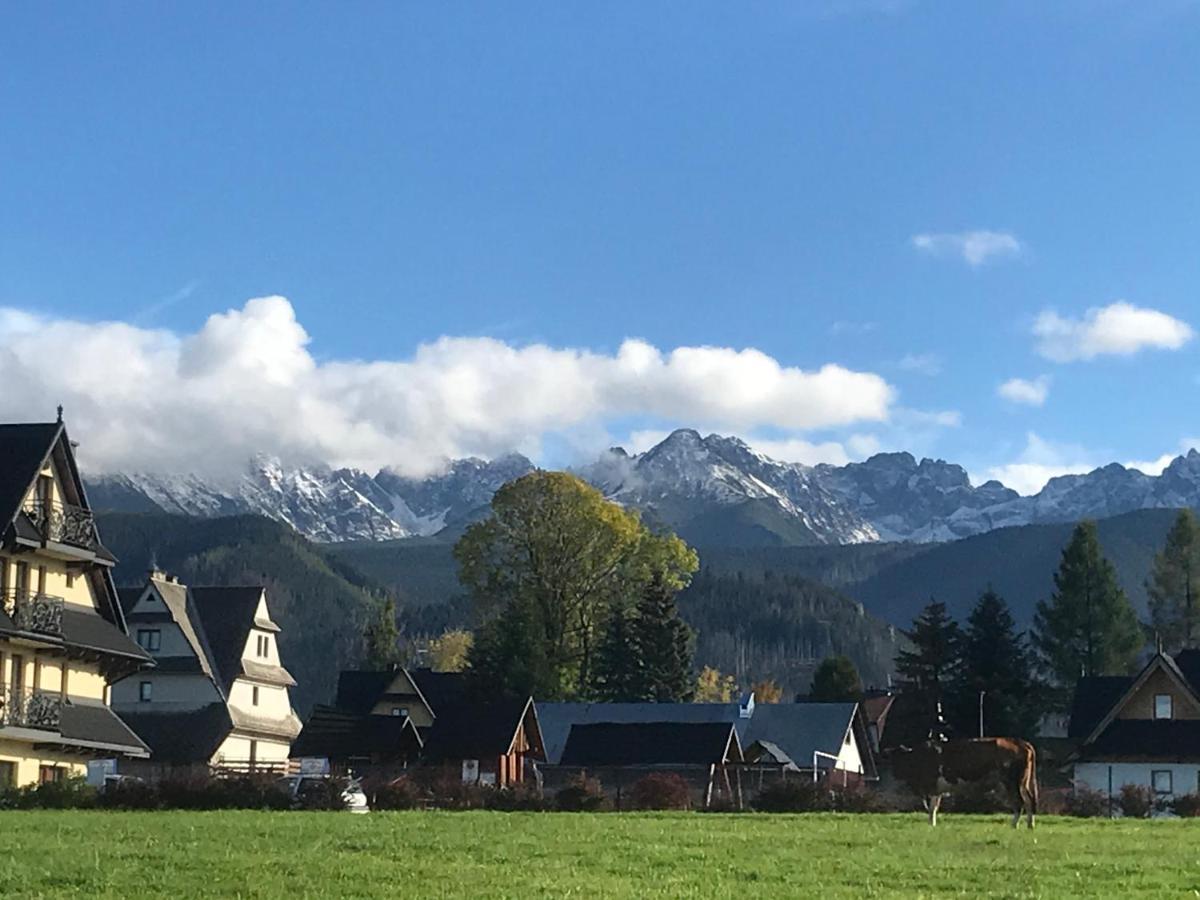 Campingplatz Skoczek Nie Dotyczy Noclegu W Pokoju ,w Namiocie Reczniki Woda Mineralna , Koldra Poduszki Lub Spiwory *
