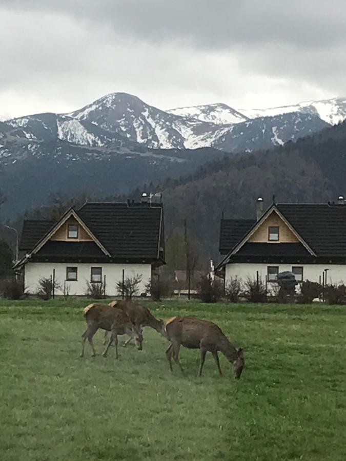 Skoczek Nie Dotyczy Noclegu W Pokoju ,w Namiocie Reczniki Woda Mineralna , Koldra Poduszki Lub Spiwory Campingplatz *