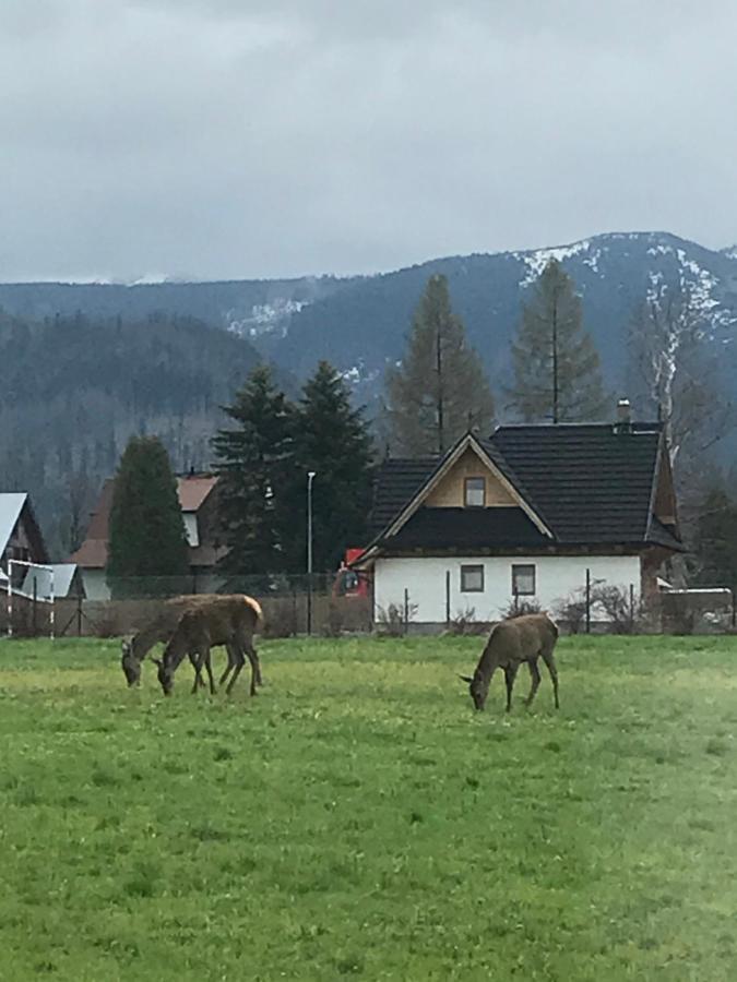 Skoczek Nie Dotyczy Noclegu W Pokoju ,w Namiocie Reczniki Woda Mineralna , Koldra Poduszki Lub Spiwory Campingplatz *