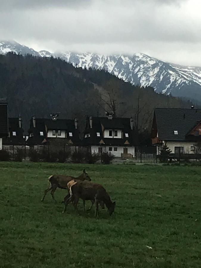 Skoczek Nie Dotyczy Noclegu W Pokoju ,w Namiocie Reczniki Woda Mineralna , Koldra Poduszki Lub Spiwory * Zakopane
