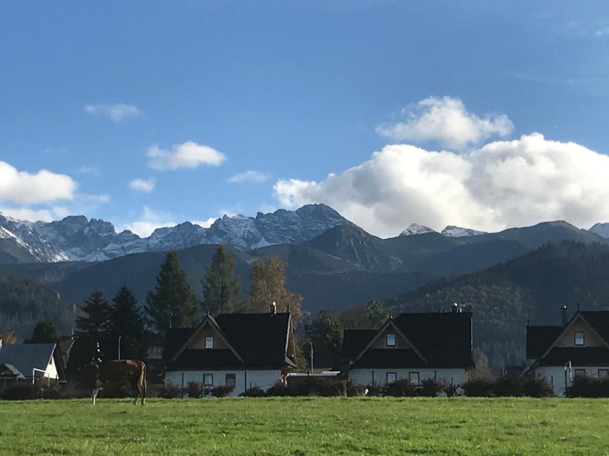 Skoczek Nie Dotyczy Noclegu W Pokoju ,w Namiocie Reczniki Woda Mineralna , Koldra Poduszki Lub Spiwory Campingplatz *