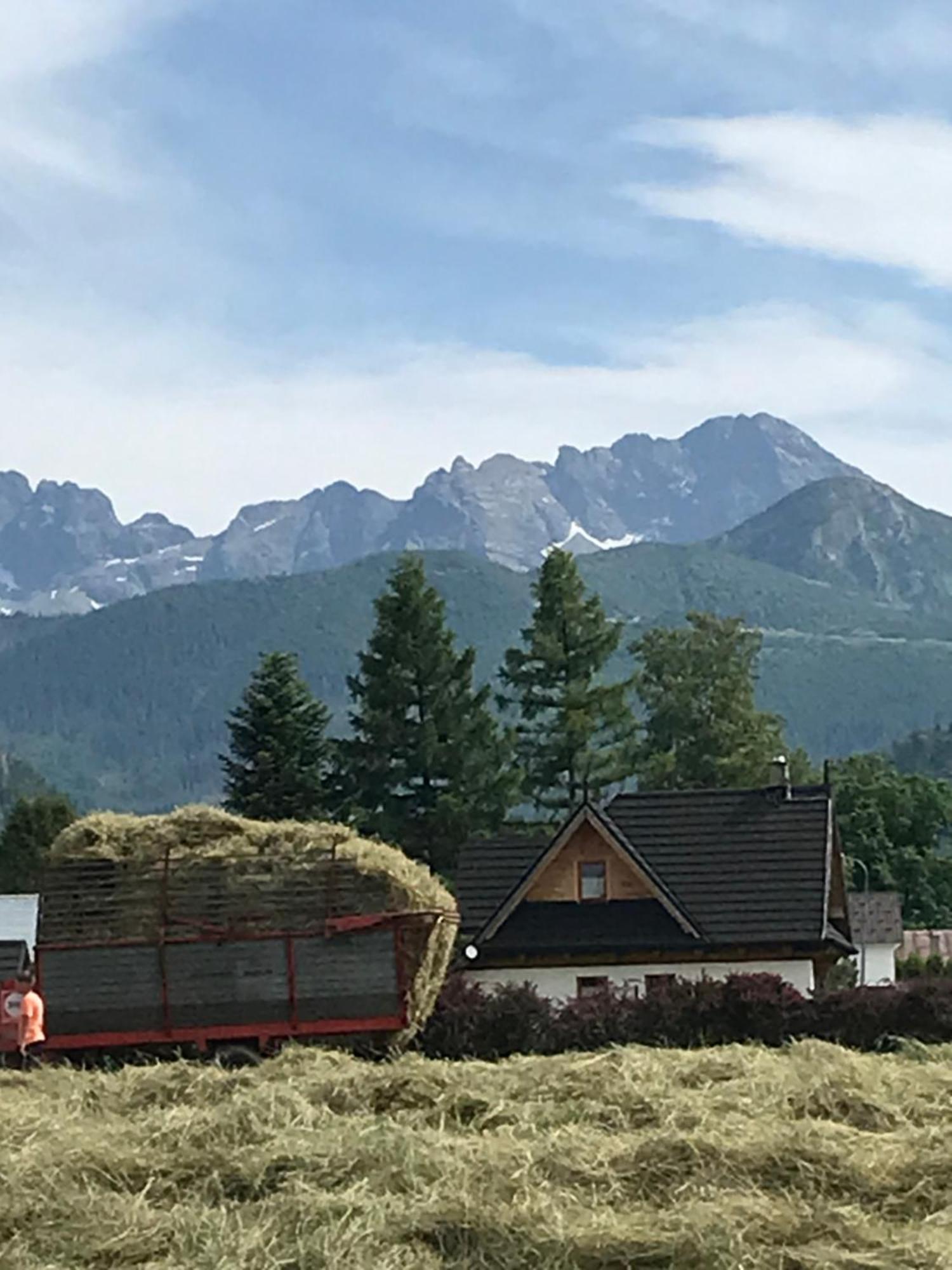 Skoczek Nie Dotyczy Noclegu W Pokoju ,w Namiocie Reczniki Woda Mineralna , Koldra Poduszki Lub Spiwory * Zakopane